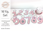 Preview: Geburtstagszahl Krone - doodle Stickdatei